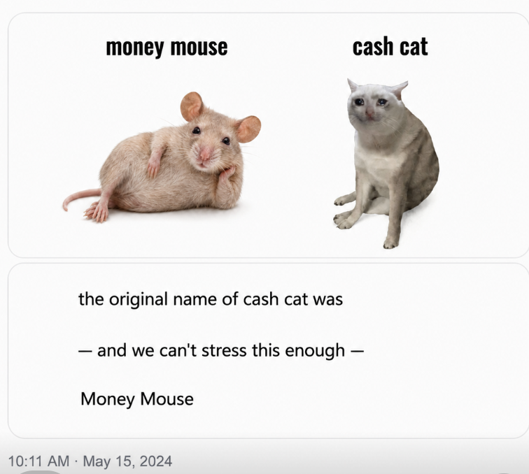 Meme comparing money mouse and cash cat: the original name of cash cat was — and we can't stress this enough — Money Mouse